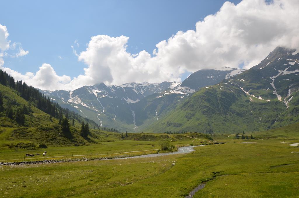 Winklers Gipfelblick Chalet, Inklusive Alpentherme - Ganzjaehrig, Gasteiner Bergbahn - Nur Sommer Бад Хофгаштайн Экстерьер фото