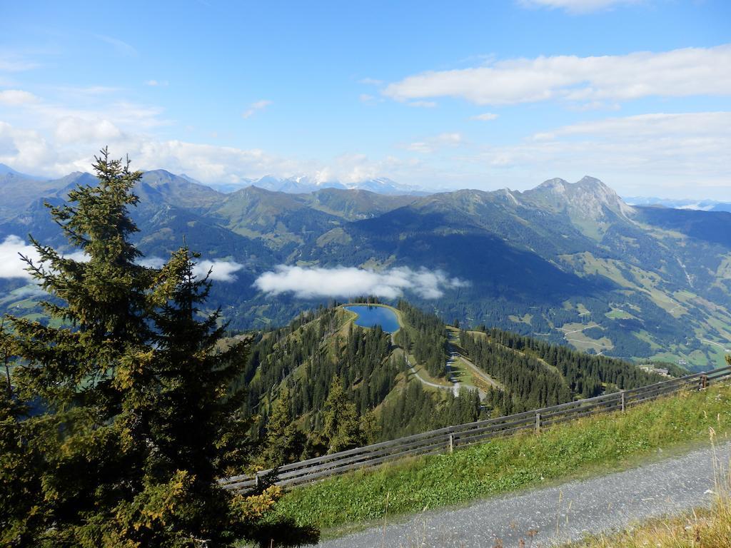Winklers Gipfelblick Chalet, Inklusive Alpentherme - Ganzjaehrig, Gasteiner Bergbahn - Nur Sommer Бад Хофгаштайн Экстерьер фото